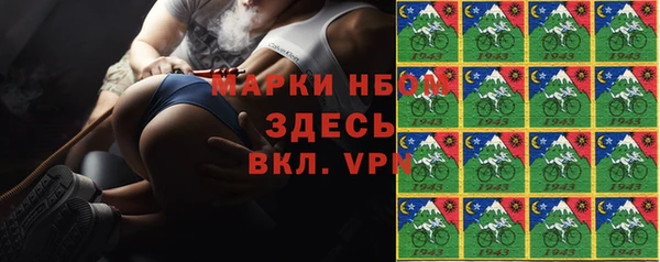 прущие грибы Богородск