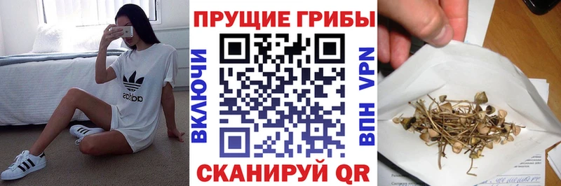 Купить  Навашино  Псилоцибиновые грибы GOLDEN TEACHER 